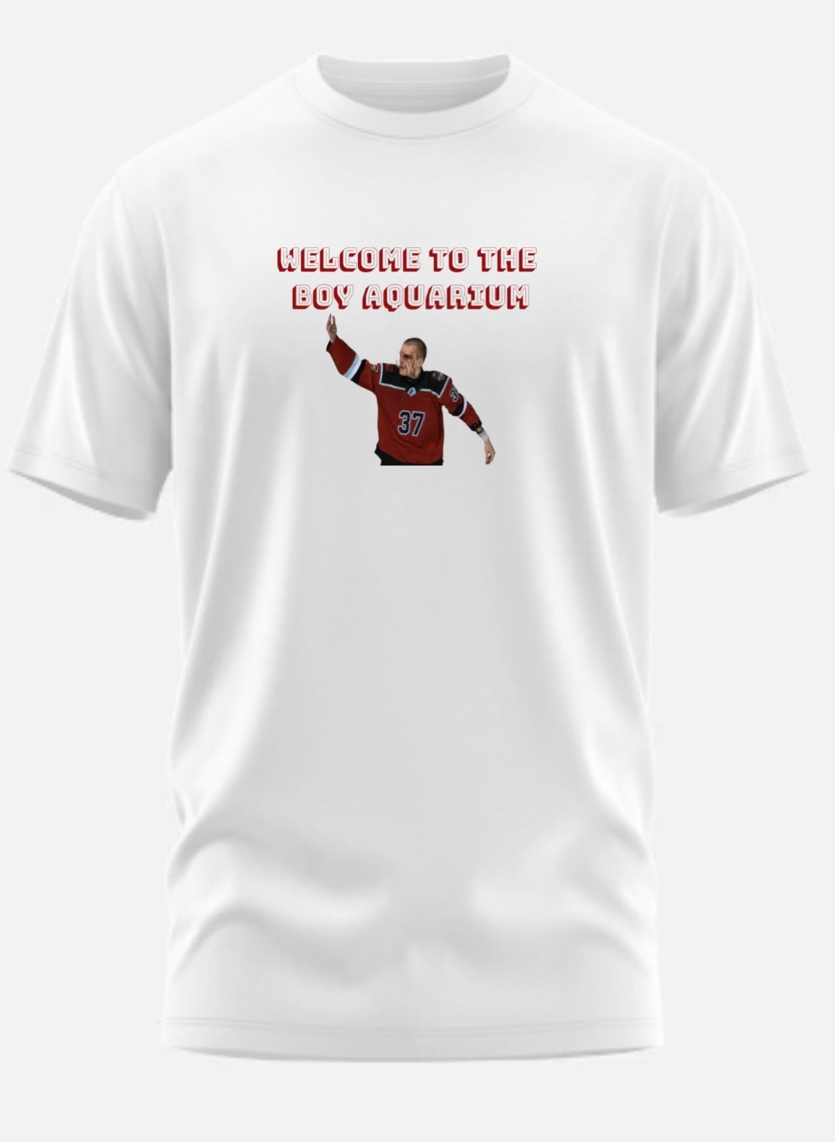 Welcome To The Boy Aquarium